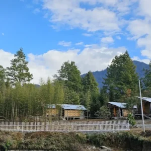 Bamboo Village Resort